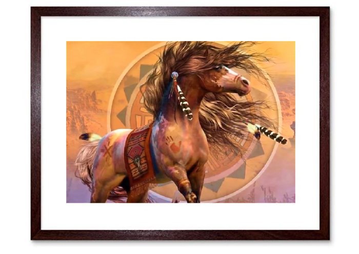 North American IndianFramed Print